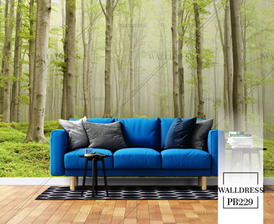 مناظر طبیعی با حس تازگی و آرامش