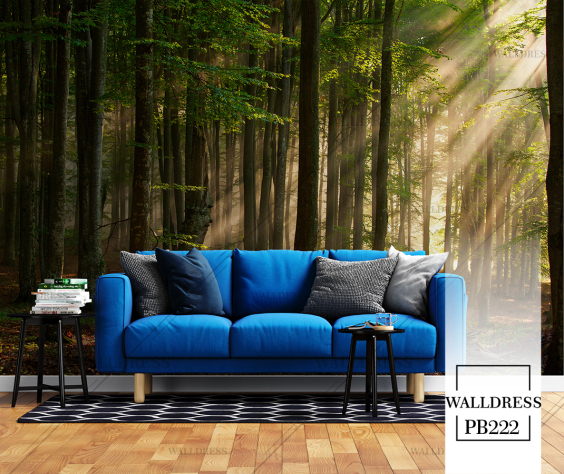 مناظر طبیعی با حس تازگی و آرامش