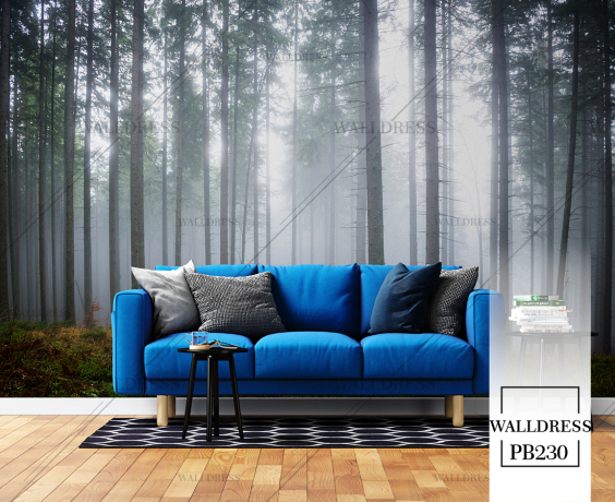 مناظر طبیعی با حس تازگی و آرامش