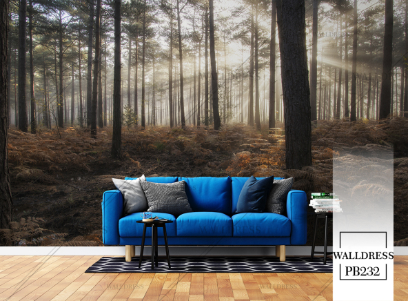 مناظر طبیعی با حس تازگی و آرامش